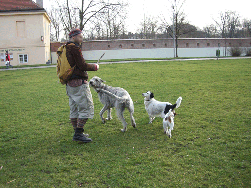 f0077150_553780.gif