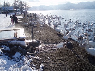 e0004756_11264249.jpg