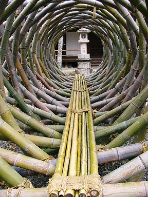 低山ハイク（５）水無瀬渓谷から天王山：楊谷寺の竹の白道（びゃくどう）_b0063958_2058553.jpg