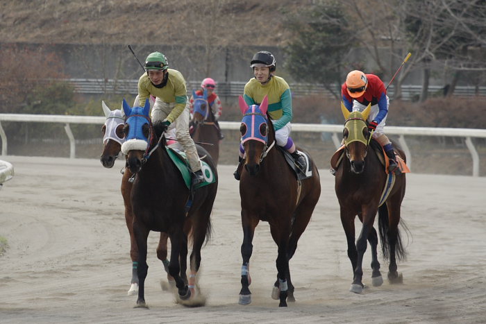 2007年1月20日(土) 高知競馬 1R ゲート裏_a0077663_18365875.jpg