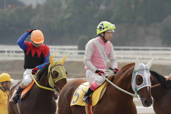 2007年1月20日(土) 高知競馬 1R ゲート裏_a0077663_18494534.jpg