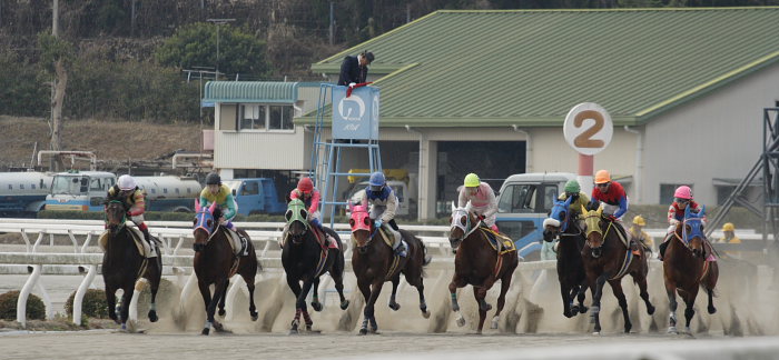 2007年1月20日（土） 高知競馬 1R レース_a0077663_1961542.jpg