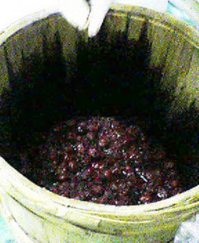 杉樽入り_a0045193_1519365.jpg