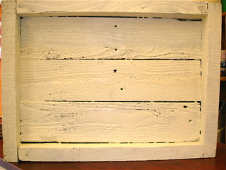 b0086098_12383169.jpg