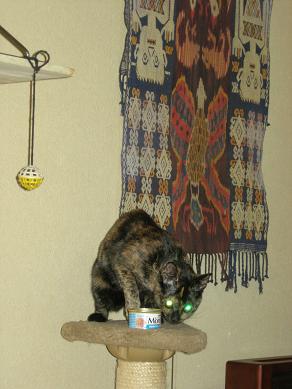 c0011501_1420518.jpg