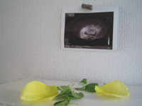 d0076603_15172138.jpg