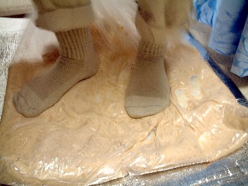 f0043911_1381388.jpg