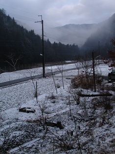 朽木小川・気象台より　　薄っすらと湿雪・・県道情報や雪便りなど_c0044819_8212427.jpg