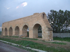f0090719_83467.jpg