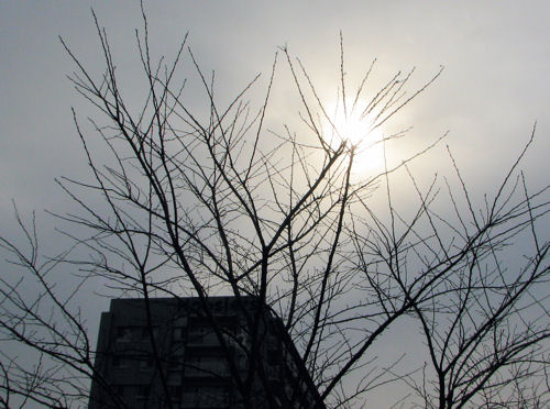 e0115526_21302490.jpg