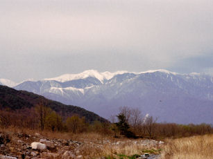 f0114339_14483423.jpg