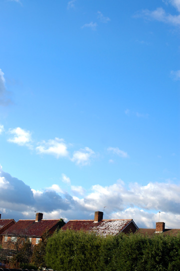 d0008146_029475.jpg