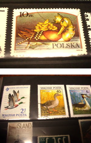 b0081348_17531441.jpg