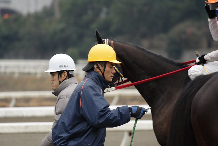 2007年1月21日（日） 高知競馬 ゲート練習 裏_a0077663_1811696.jpg