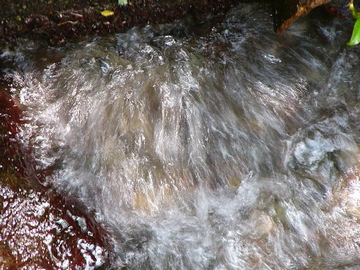 a0009666_1025656.jpg
