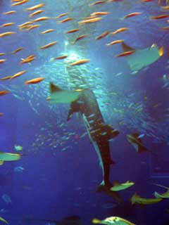 f0083977_23364384.jpg