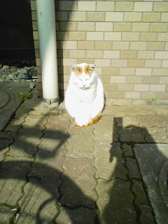 こっちもできた!_e0049681_2153039.jpg