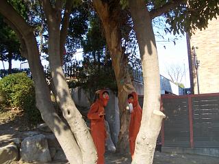 e0114883_10561736.jpg