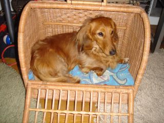 2007年1月22日 今日は横浜 _b0098584_6152796.jpg