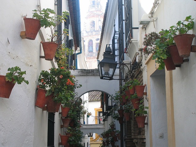 f0100194_20293779.jpg