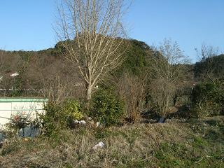 敷地踏査_d0087595_93194.jpg