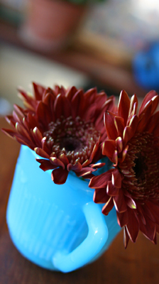 切り花_d0100095_16562212.jpg