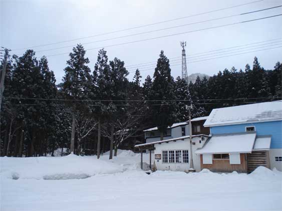 a0061599_811327.jpg