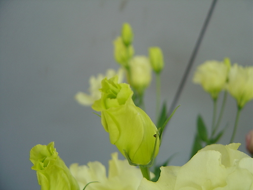 おめでとう^^_d0099708_2374820.jpg