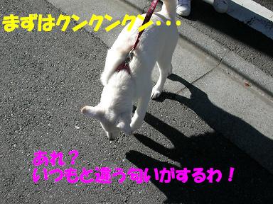 f0121712_10323275.jpg