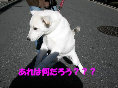 f0121712_10323982.jpg