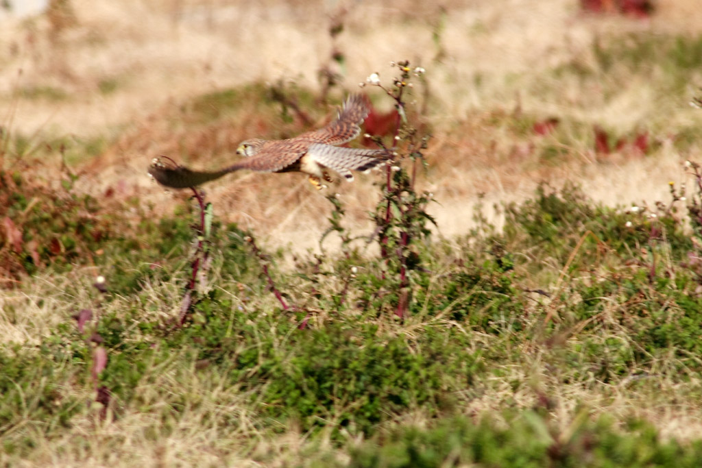 d0085715_02231.jpg