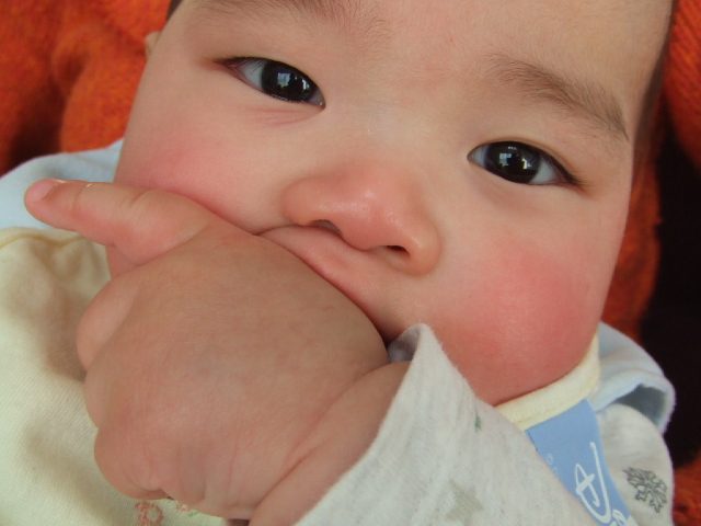 遠出 2007年1月26日金曜日_f0090117_2362869.jpg