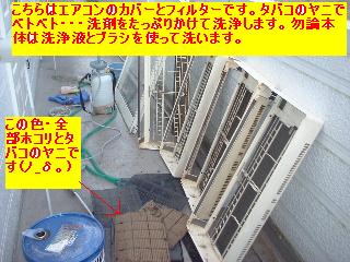 f0031037_7102728.jpg