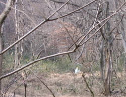 e0049740_17331782.jpg
