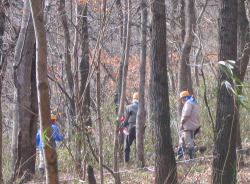 e0049740_1749891.jpg