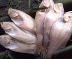 b0091443_10525345.jpg