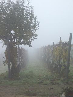 e0023471_10462764.jpg