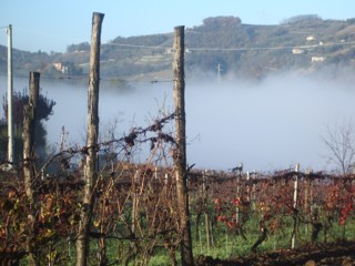 e0023471_10504549.jpg