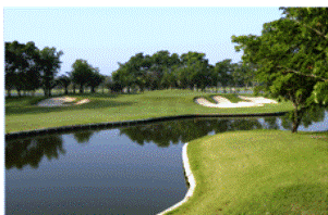 b0108681_1141933.gif