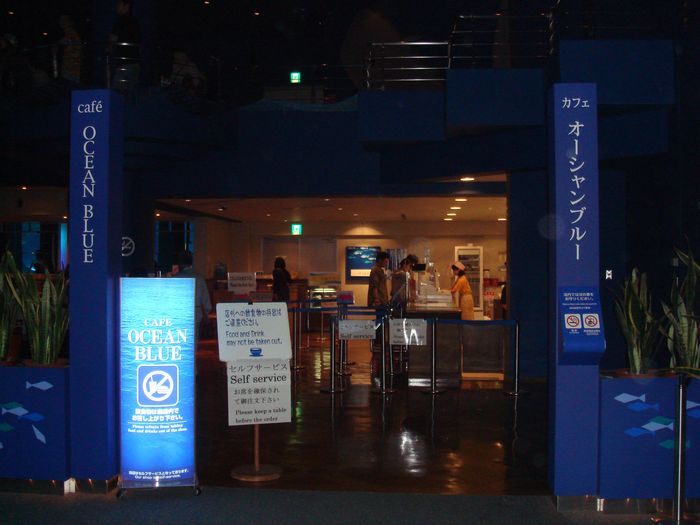 カフェ オーシャンブルー 海へ続く道 沖縄日記 カフェ オーシャンブルー 海へ続く道 沖縄日記