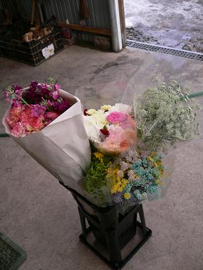 南房総の仲間達_d0099708_2320844.jpg