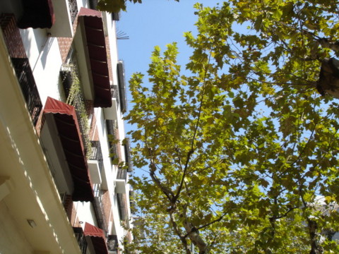 e0097008_19441014.jpg