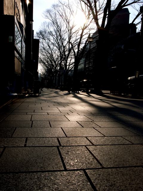 c0071611_17464326.jpg