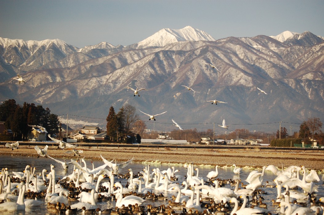 e0114815_1042144.jpg