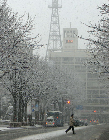 雪の朝　　　　　中央通り市役所前_a0080120_1245995.jpg