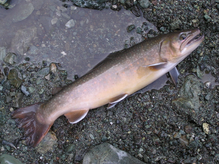 f0103126_22261672.jpg