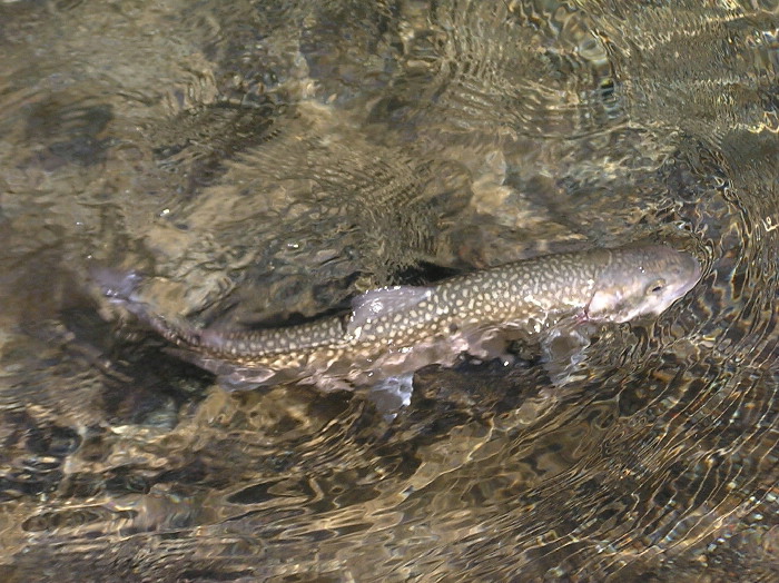 f0103126_22433482.jpg