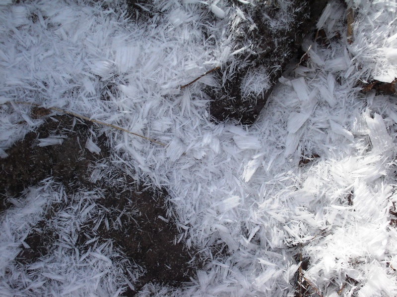 f0039234_22472353.jpg