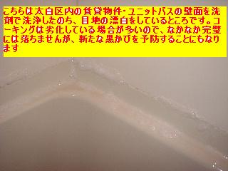 賃貸物件・ハウスクリーニング_f0031037_1831193.jpg