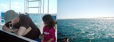 Turks & Caicos: Glass Bottom Boat Trip_c0052539_1249216.jpg